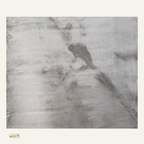 Shagy Matrix Rugs 12690