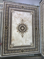Cream Zhinus Rugs 12689