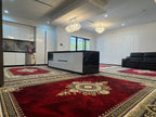 Red Zhinus Matrix Rugs 12667