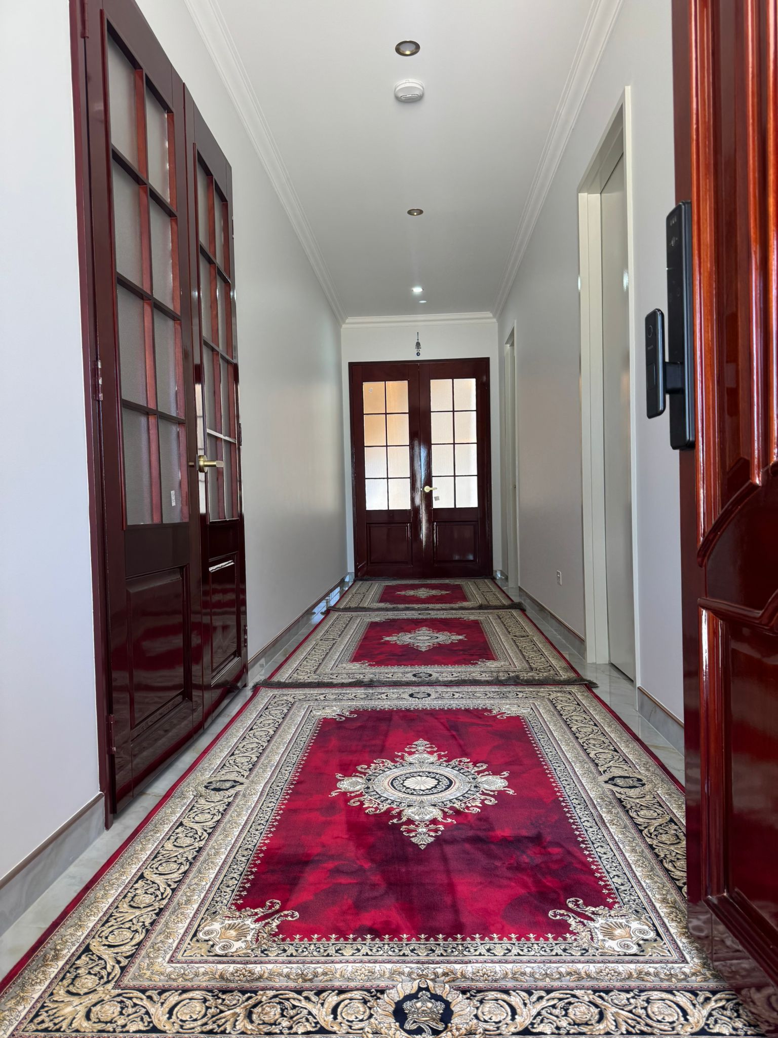 Red Zhinus Matrix Rugs 12667